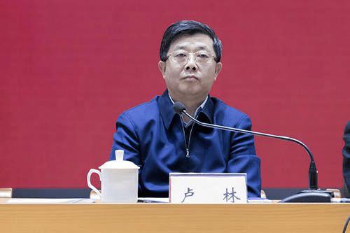 卢林个人资料,才华横溢的青年才俊，引领时代潮流的先锋人物