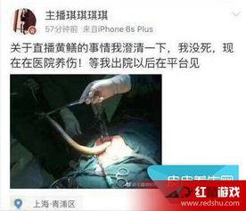 黄鳝门女主播男友,揭秘背后的情感纠葛