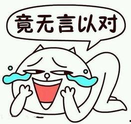 什么电视搞笑友好看