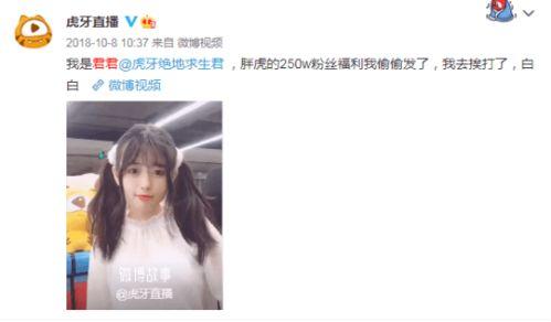 双马尾表情包怎么输入,表情包中的时尚潮流解析